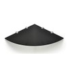 BSM Marketing Wall Mounted Floating Acrylic Corner Shelf with Chrome