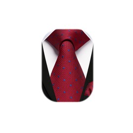 HISDERN Red Ties for Men Polka Dot Wedding Tie Handkerchief Formal Business Necktie & Pocket Square Set