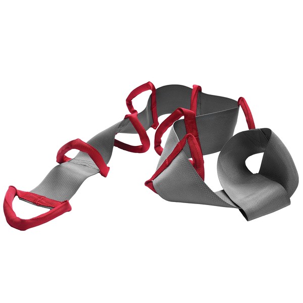 DHG FlexiGrip Scaletta da Letto – Supporto per Utilizzatori di Sedie a Rotelle I Scaletta da Letto Facile da Installare per Tutti i Letti I Con Passanti Imbottiti per una Presa Estremamente Sicura