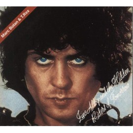 Zinc Alloy and the Hidden Riders of Tomorrow