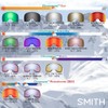 Smith Optics Skyline XL Adult Replacement Lens Snow Goggles Accessories