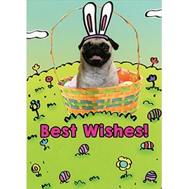 RSVP Pug with Bunny Ears Sitting in Basket Funny : Humorous Dog Easter Card
