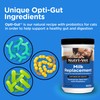 Nutri-Vet Milk Replacer For Kittens, Powdered Milk, Kitten Essentials, Cat