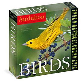 Audubon Birds Page-A-Day Calendar 2019