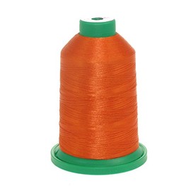 Isacord Embroidery Thread 5000m (1200-1322) (1321)