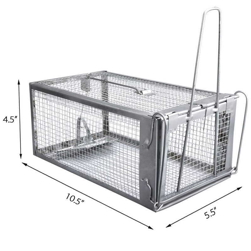 Gingbau Live Traps for Chipmunks Rats and Mice (Set of
