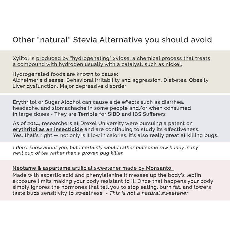 Enzo Easy Use Organic Stevia Powder 200g (7.05oz / 1600