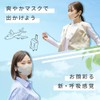 【風邪予防 マスク 不織布 DAILY FIT MASK Filter+ 5枚 ペールベージュ×ボルドー【ふつう 旧:小さめ