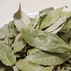 300g of chamduri leaves (domestic) / 참두리 참가시나무잎 300g (국내산)