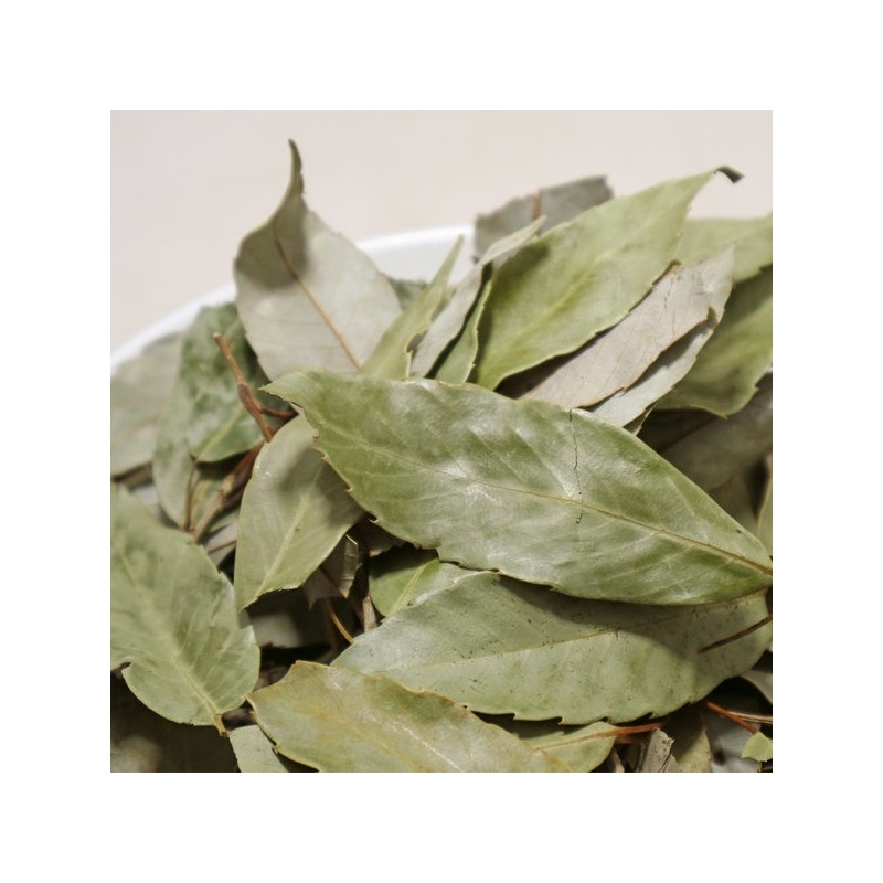 300g of chamduri leaves (domestic) / 참두리 참가시나무잎 300g (국내산)