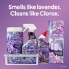 Clorox Scentiva ToiletWand Refills, Lavender and Jasmine, 10 Count