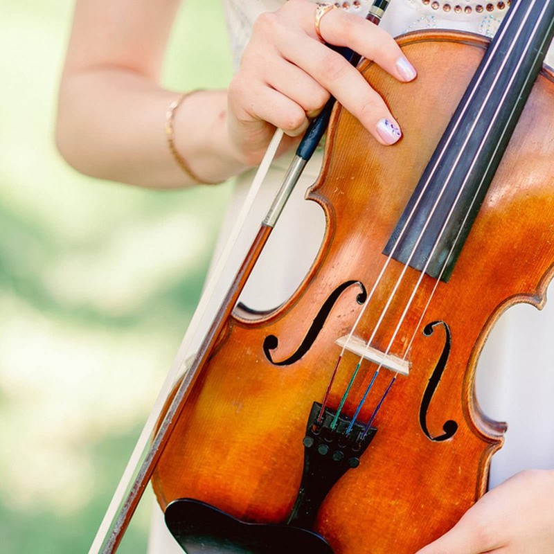 DaKuan 4/4 Full Set Violin Strings + 2 Bow Hair
