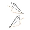 CAXUSD 2Pcs Iron Air Plant Holders Hanging Plant Shelves for