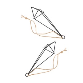 CAXUSD 2Pcs Iron Air Plant Holders Hanging Plant Shelves for Wall Ceiling Decor Creative Decoration for Home and Office