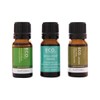 ECO. Modern Essentials Essential Oil Trio Fight The Flu 10ml