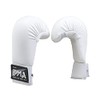Playwell Martial Arts Karate Competition Vinyl Sparring Mitts, Gloves -