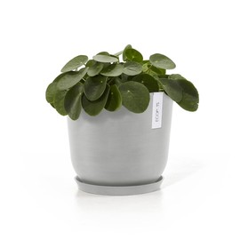 Ecopots Round Recycled Plastic Modern in/Outdoor Planter Flower Pot Saucer, White Grey, 11"