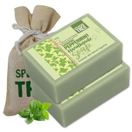 Speaking tree Peppermint Handmade Soap Enriched with Natural Glycerin - 100 gms (Pack of 2)