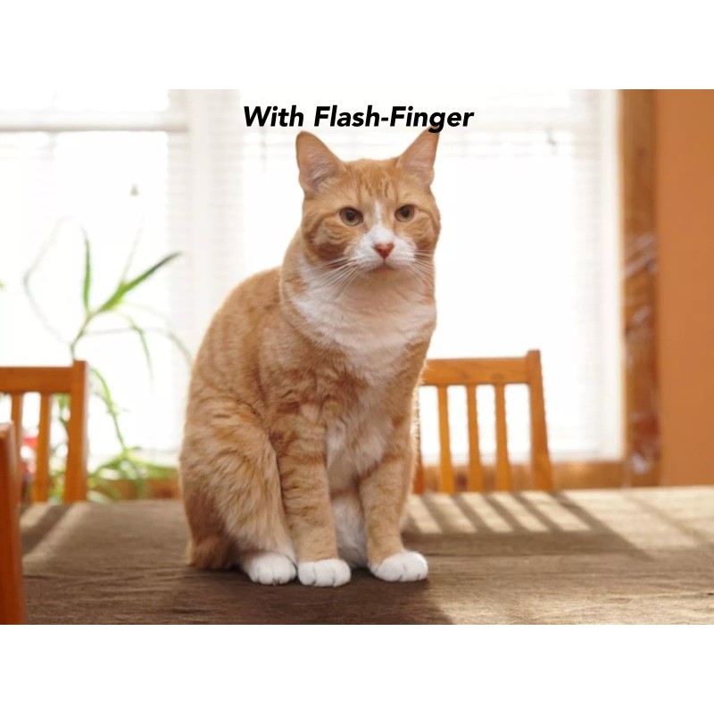 Flash Finger Sony A6000 flash finger ( bounce card effect)