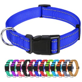 TagME Reflective Nylon Dog Collars, Adjustable Classic Dog Collar with Quick Release Buckle for Puppy, Royal Blue, 3/8in Width (XS)