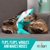 Pet Craft Supply Wiggle Pickle and Shimmy Shark Flipper Flopper