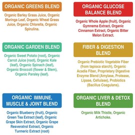 Organic Greens Superfood Powder Travel Packets – Nutrient-Dense Daily Greens Drink Mix with Antioxidants, Probiotics & Digestive Support – On-the-Go