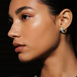 Gold Hoop Earrings for Women Gifts Earring for Women Cartilage Earrings Teacher Earrings Christmas Stocking Stuffers Black And White Hoop Earring Checker Houndstooth Accessories Dainty Huggie Earring Jewelry Blue-White