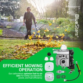 BlueStars RB-K106 PB250 Carburetor - For Echo PB250LN PB-250 ES250 Leaf Blower A021003660 A021003661 Carb with Air Filter Fuel Line Tune Up Kit