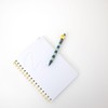 Mr. Wonderful - Erasable Ballpoint Pen Bo-Bo Star Erasable Ballpoint