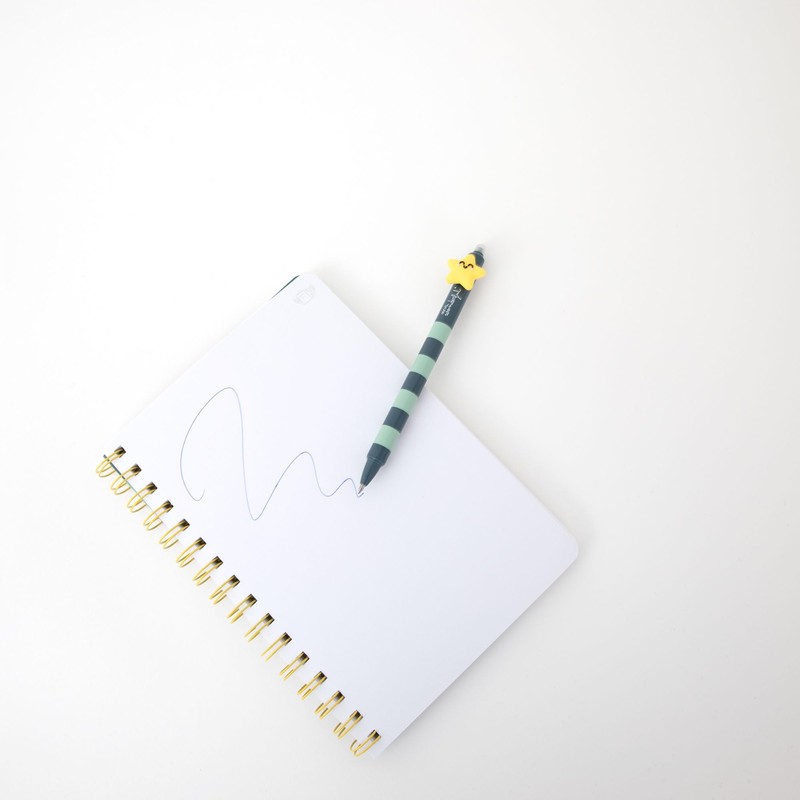 Mr. Wonderful - Erasable Ballpoint Pen Bo-Bo Star Erasable Ballpoint