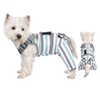 Arblina Dog Recovery Suit for Rear Leg, Adjustable Recovery Sleeve