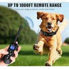 Dog Shock Collar for Large Dog - Rechargeable Dog Training
