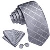 Barry.Wang Designer Classic Ties for Men Set Formal Pocket Square