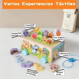 Juguetes Montessori, Juguetes Didacticos para Bebes 1 año 4 Formas de Jugar, Transferencia Térmica, Cordón de Ajuste Extendido, Juguetes para Bebe 1-3 año, El Mejor Regalo de Cumpleaños