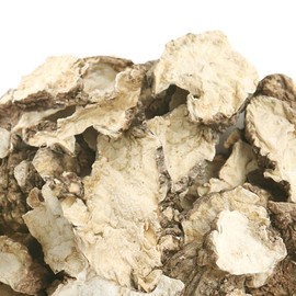 Donguihanjae 동의한재 100% 국산 천궁 600g 100% Domestic Cheonggukjang 600g