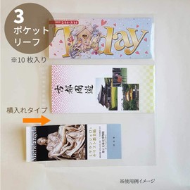 COLLECT S-230 Ticket Holder Refill Pack of 10