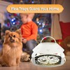 Defeat Fleas with Confidence Using Multiple Flea Traps for a