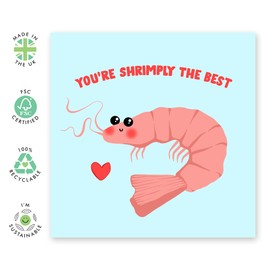 Funny Anniversary Card for Her - 'You're Shrimply The Best' - Cheeky Birthday Card for Husband Boyfriend - Fun Valentines Day Card for Girlfriend Wife - Comes with Fun Stickers - By Central 23