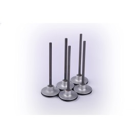 Maxtparts NR83A2 Piston Driver For Framing Nailer (5 Pack)