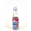 Ramune Grape (12 bottles)