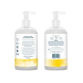 Kirk's Hydrating Hand Wash - Made with Coconut Oil and Aloe Vera, With Odor Neutralizing Technology To Help Eliminate Odors, Non-GMO, Vegan, Lemon & Eucalyptus, 12 Fl Oz. 4 pack