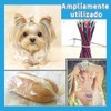 Bandas Elásticas para el Cabello Duraderas,Mini Bandas de Goma Negro&Blanco
