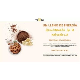 Yellow Shampoo Y Mascarilla Repair Yellow Alfaparf Cabello Dañado