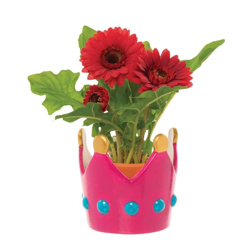 Baker Ross Coronation Crown Ceramic Flowerpots - Pack of 2,