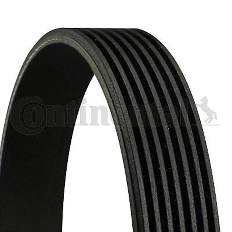 Contitech 7PK1165 Loose Multi-V Belt