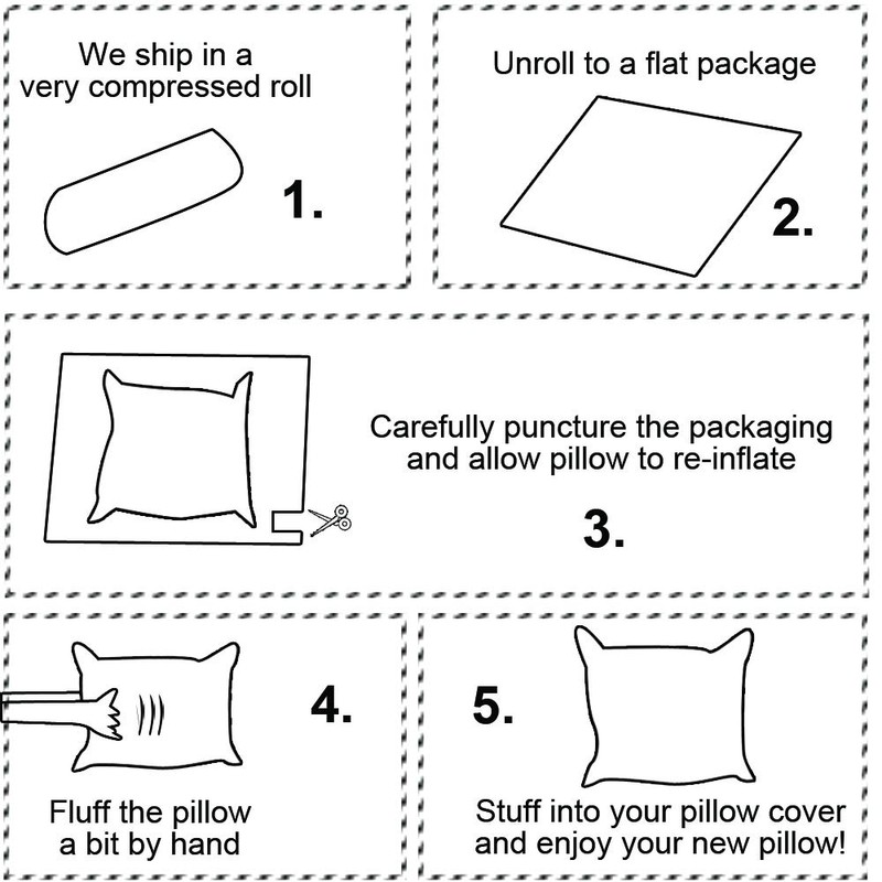 Pillow Insert 10" x 10" Polyester Filled Standard Cover (2