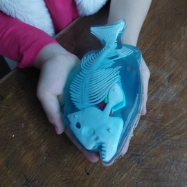 Original Slimy Lab Dissect-IT Piranha - Experiment & Research Dissecting Set - Slime Laboratory, Award-winning STEM/Mint Educational Toy, Slime Set with Play Clay and Dissecting Tool