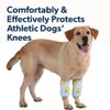 LovinPet Dog Leg Sleeves for Medium & Large Dogs, Set