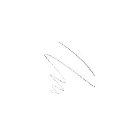 RUULIDIA Easy Detail Brow - #02 Ash Brown