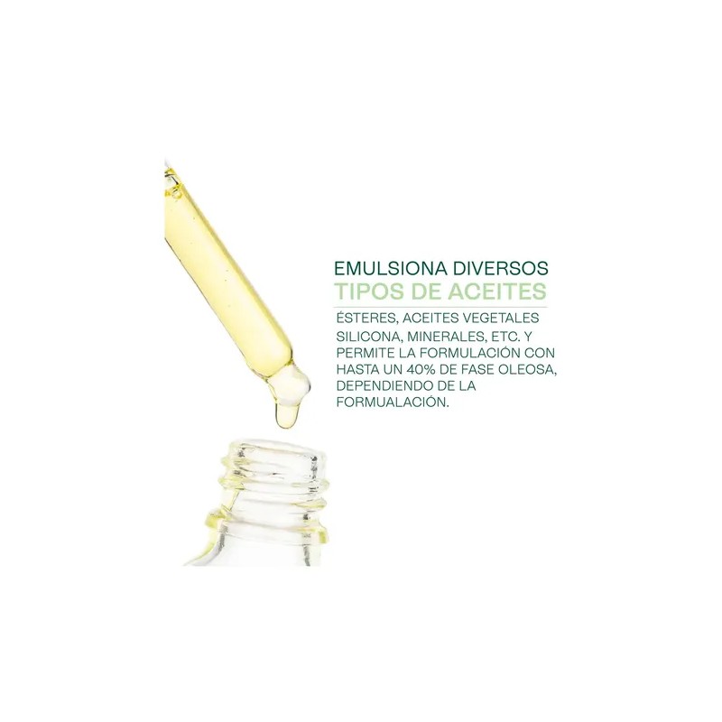Emulsionante Natural Montanov 68 Ludika 100g para Cremas y Protectores